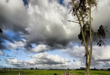 苟仲文被判死缓：政坛风云人物的人生转折