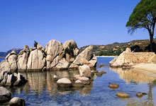 苟仲文：从苟局到仲文同志的蜕变之路